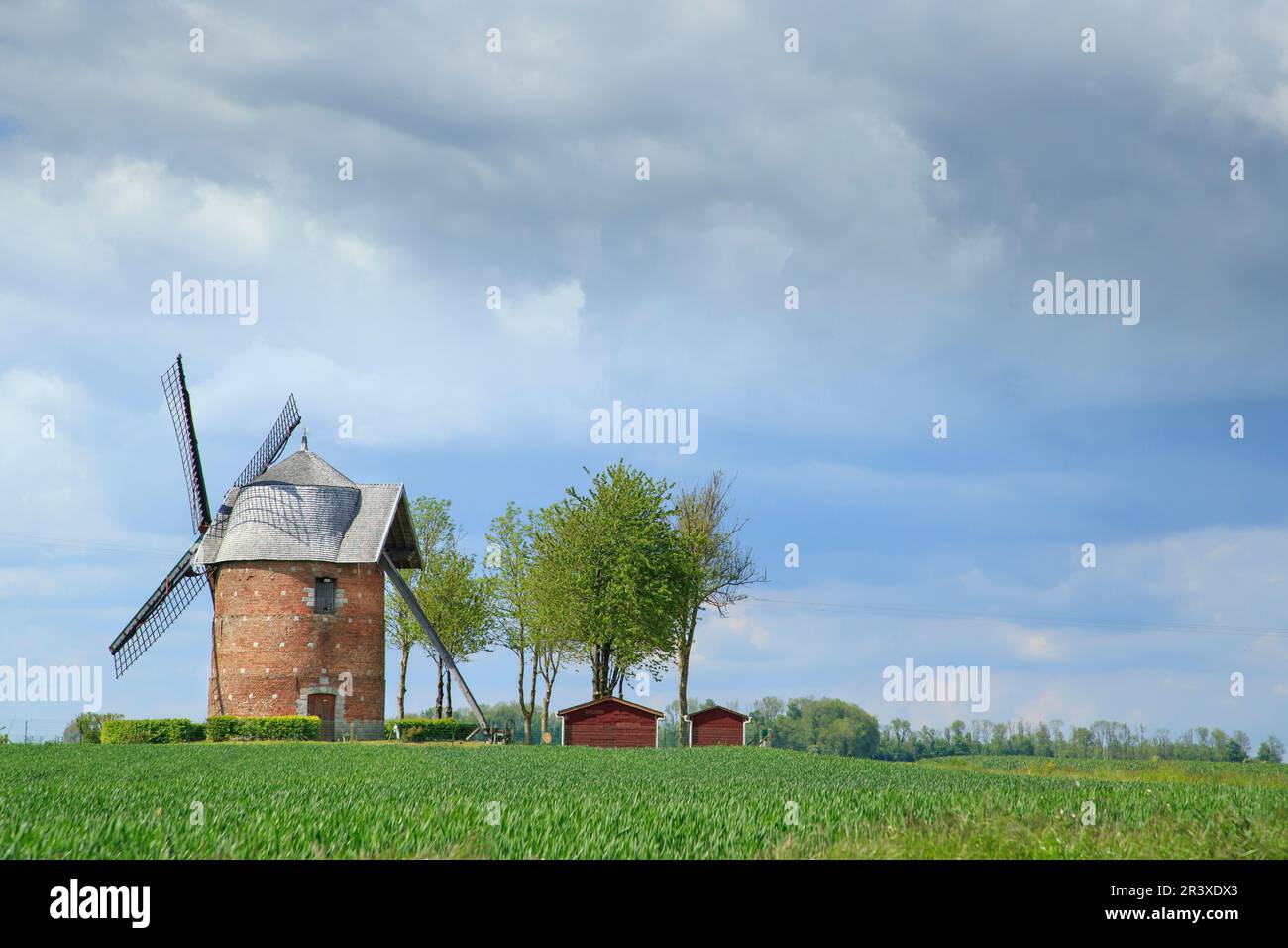Candas (Francia settentrionale): mulino a vento "moulin Fanchon" Foto Stock