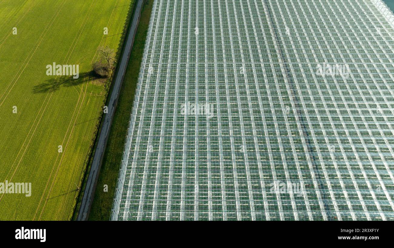 Vitre (Bretagna, Francia nord-occidentale): Vista aerea delle serre orticole, produzione su larga scala. La serra è delimitata da un separat stradale Foto Stock