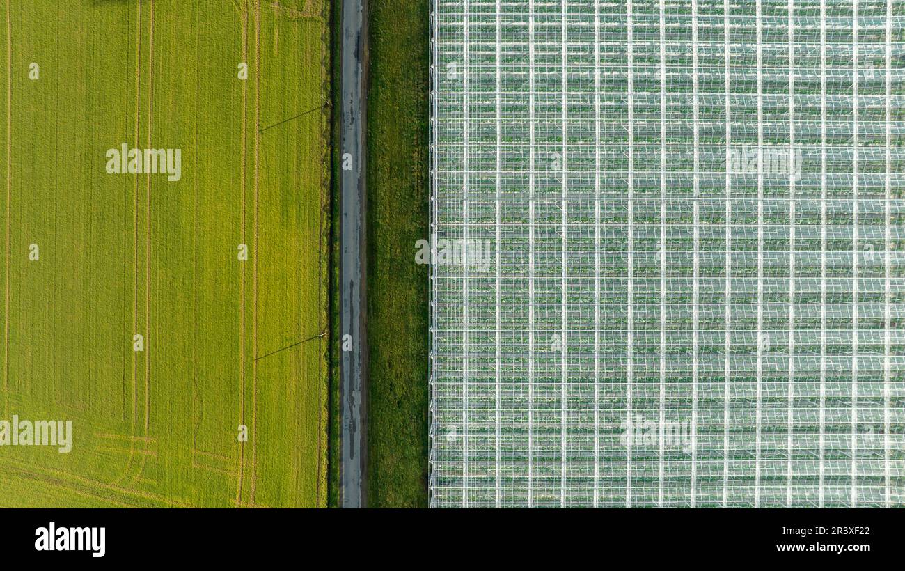 Vitre (Bretagna, Francia nord-occidentale): Vista aerea delle serre orticole, produzione su larga scala. La serra è delimitata da un separat stradale Foto Stock