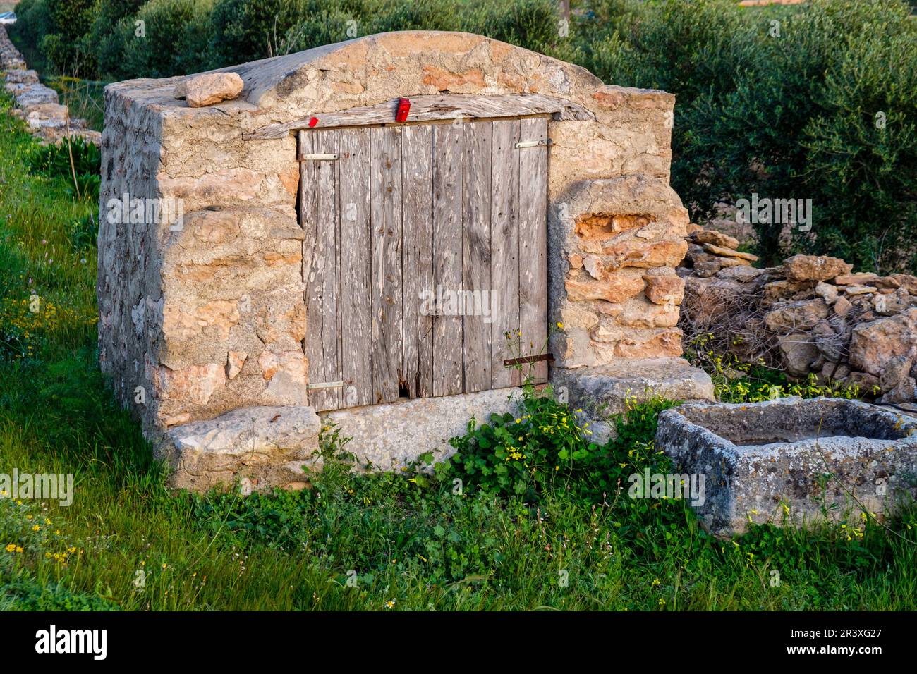 Cisterna tradizionale Foto Stock