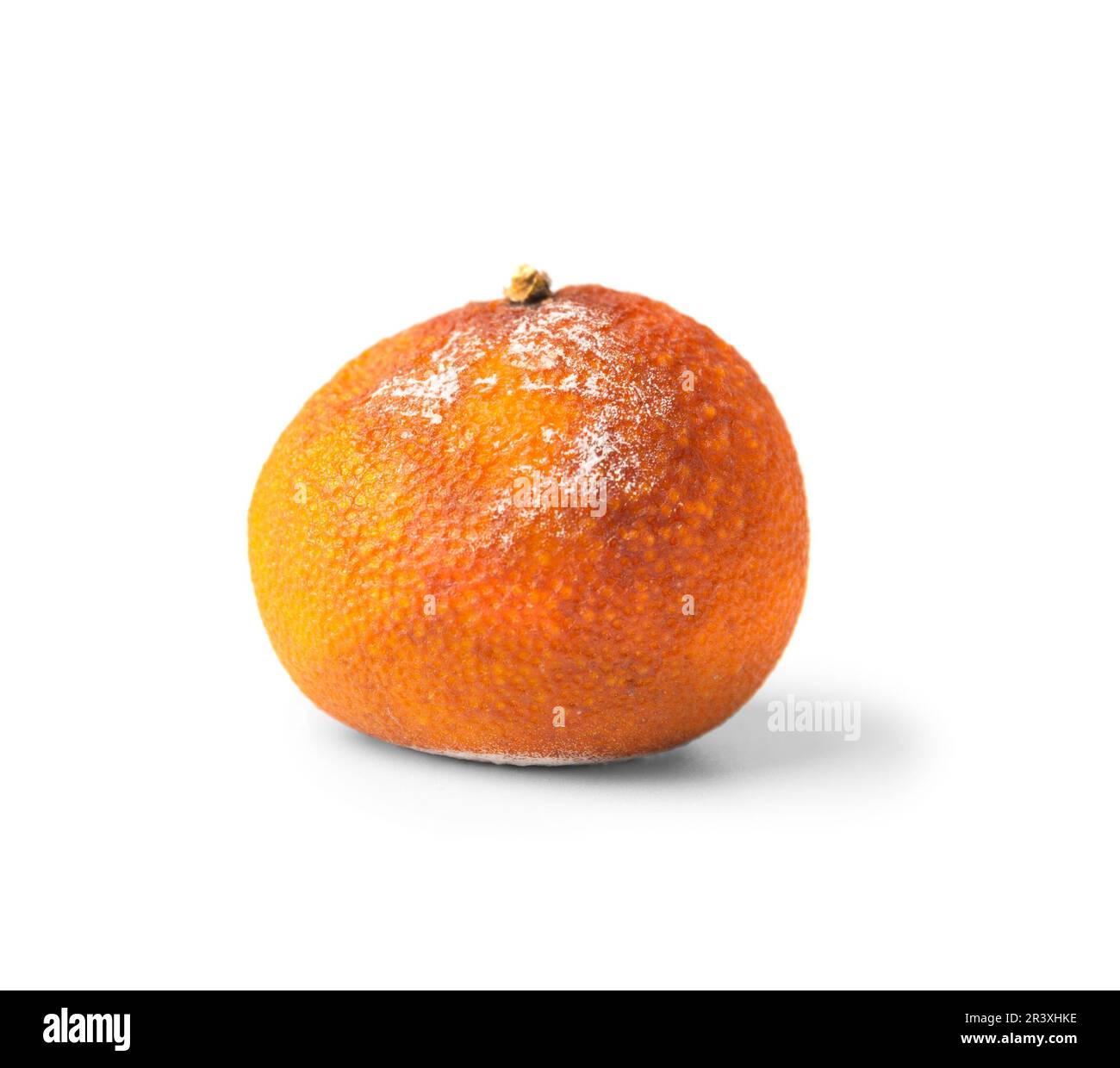 Arancione con muffa isolata su sfondo bianco. Agrumi ammuffiti. Cibo dimenticato in frigo. Rifiuti alimentari biodegradabili. Primo piano. Foto Stock