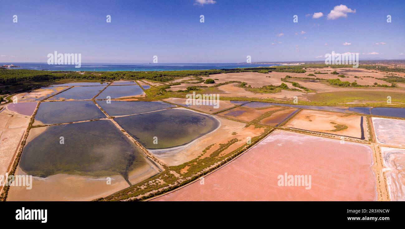 Es Trenc-Salobrar de Campos, Area Naturale di particolare interesse, comune di Campos, Mallorca, Isole Baleari, Spagna. Foto Stock