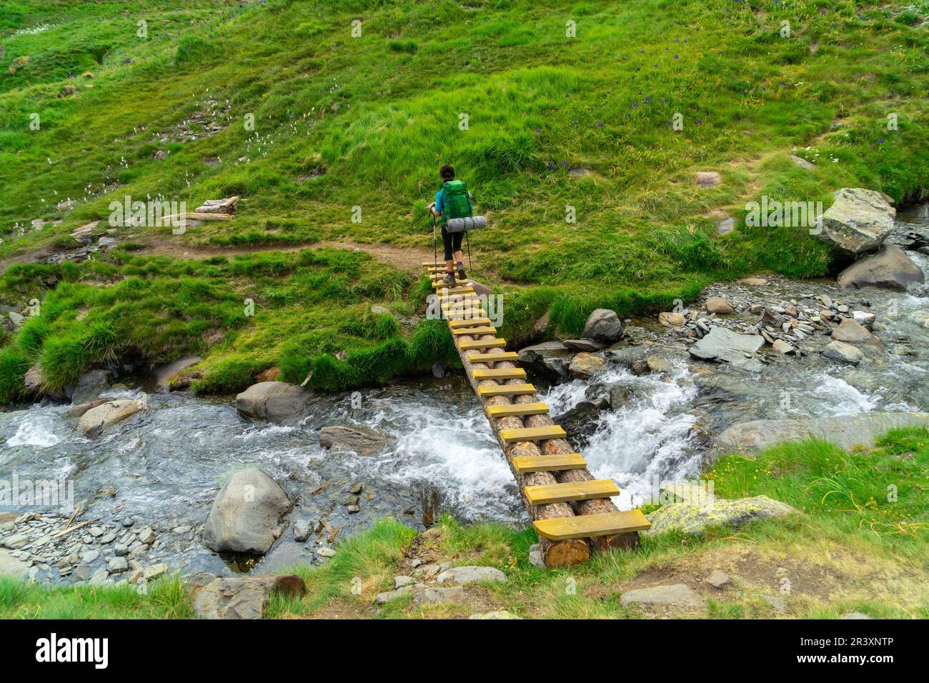 Pleta de Añes Cruces, Valle de Añes Cruces, Parque natural Posets-Maladeta, Huesca, cordillera de los Pirineos, Spagna. Foto Stock