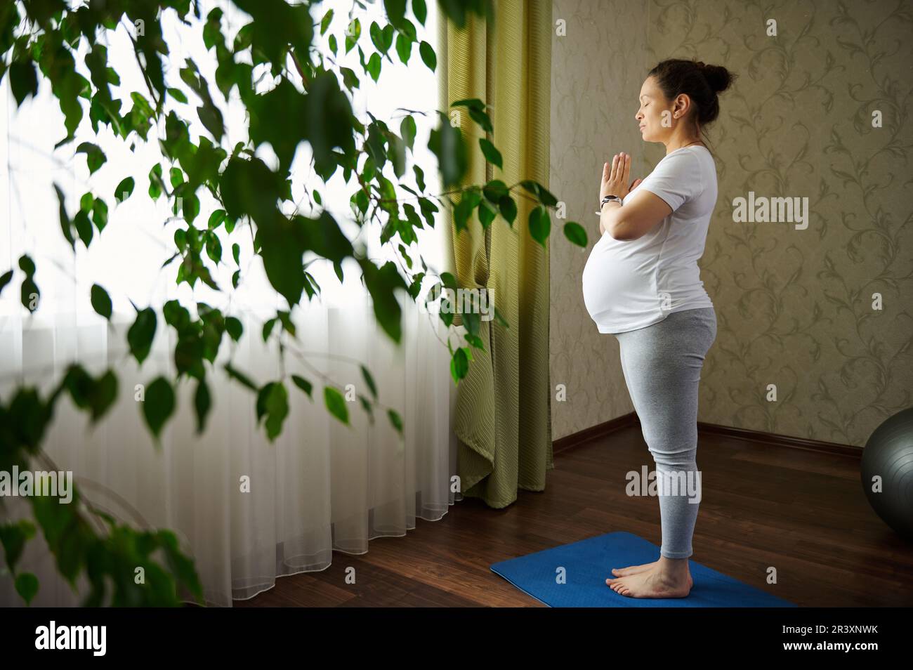Ritratto laterale di una donna incinta cosciente che pratica lo yoga in gravidanza, in piedi nella postura dell'albero con il gesto delle mani di namaste Foto Stock
