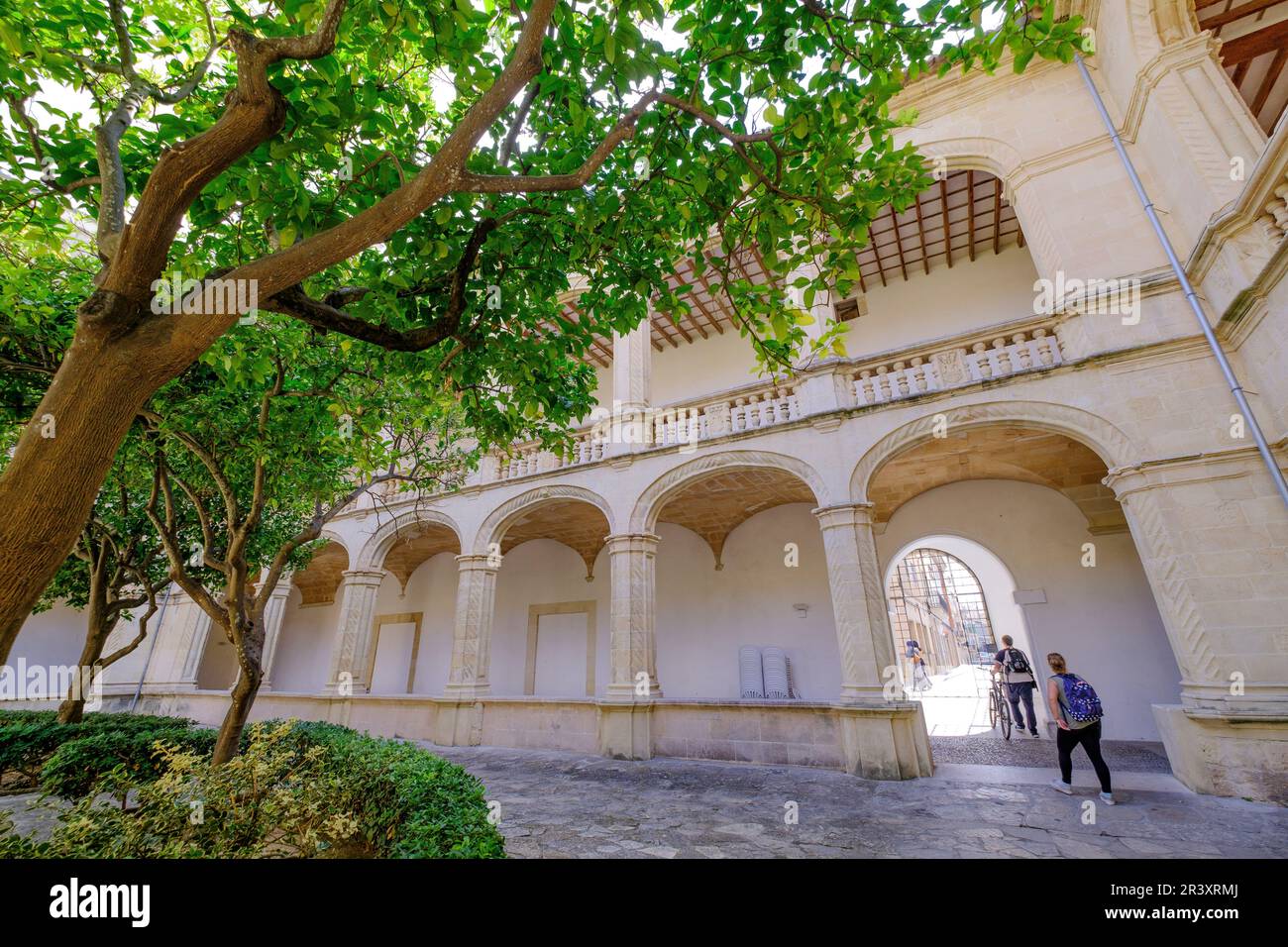 Claustro con arcadas de medio punto, Iglesia de San Vicente Ferrer, erigido a ammende del siglo XVI ,Plaza del Convento, Manacor, Maiorca, isole Baleari, Spagna, Europa. Foto Stock