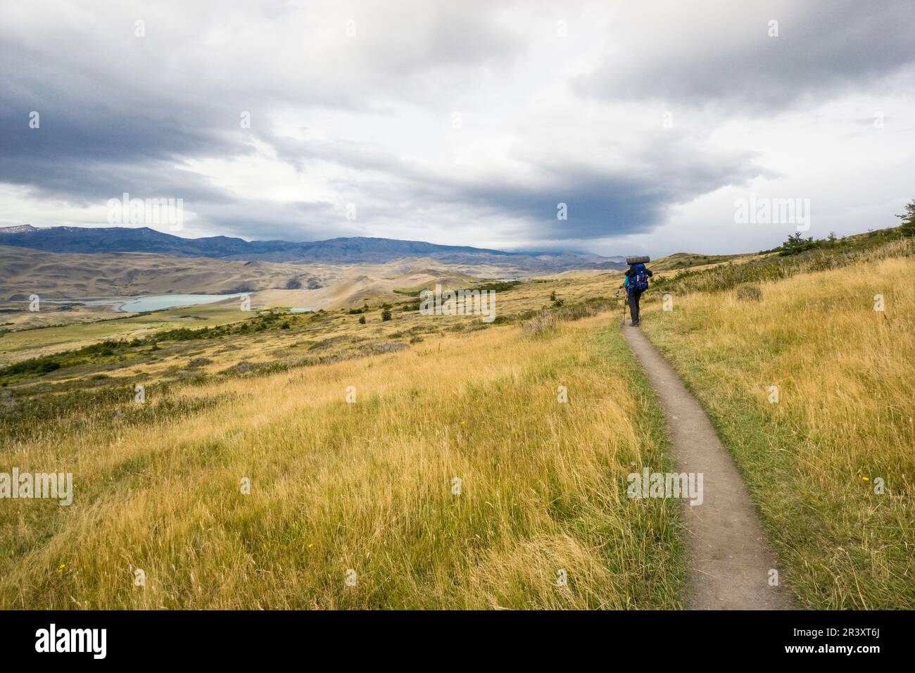 Trekking W, Parque nacional Torres del Paine,Sistema nacional de Áreas Silvestres Protegidas del Estado de Chile.Patagonia, República de Chile,América Del Sur. Foto Stock