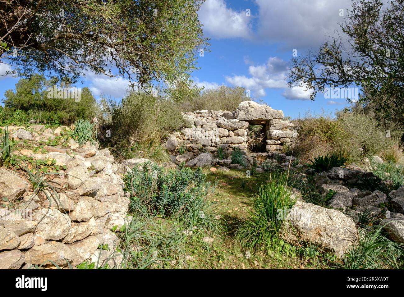 Talaiot, Son Ferrandell-Son Oleza, i milenio a C., Valldemossa, Mallorca, Isole Baleari, spagna. Foto Stock