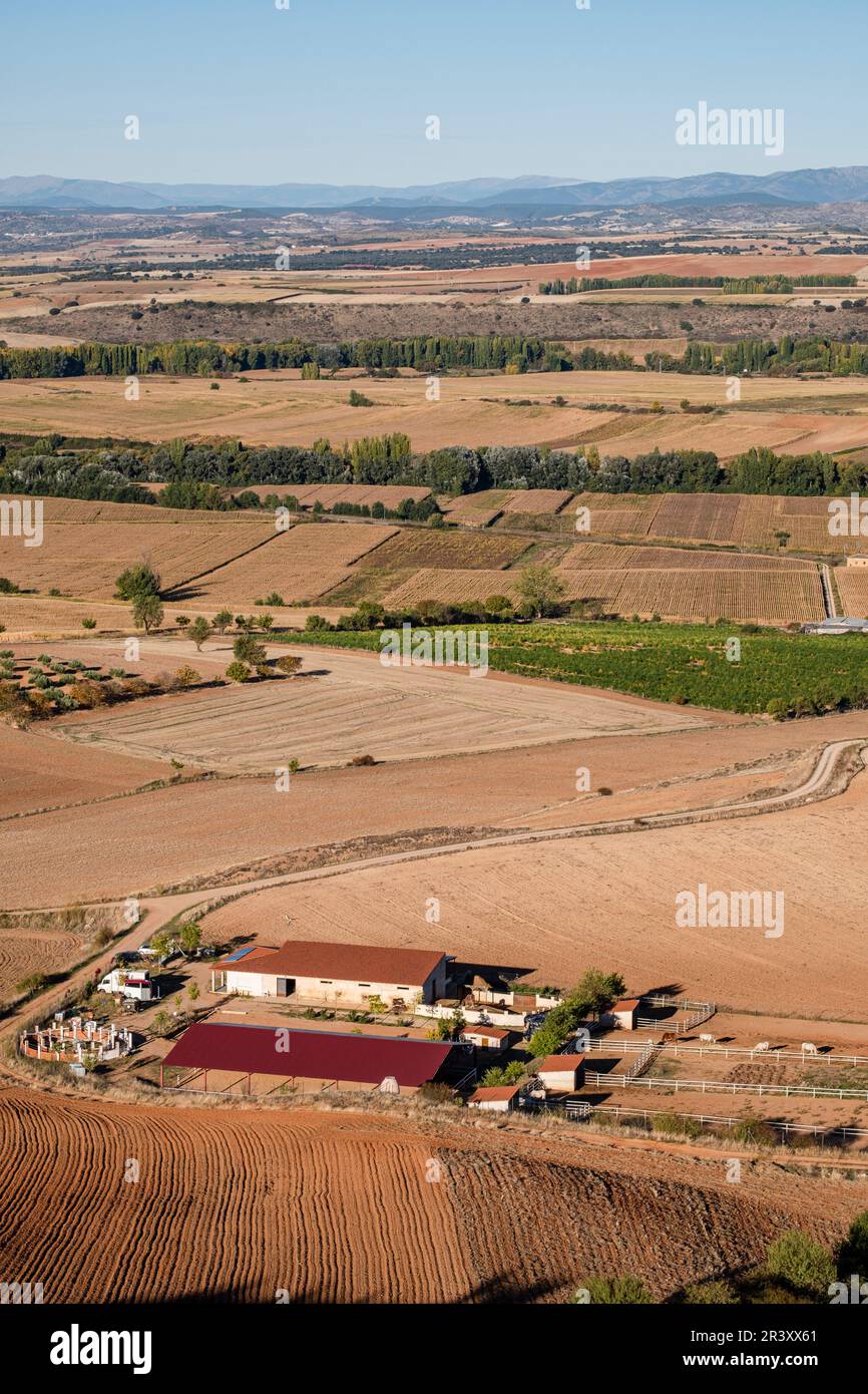 Piccola fattoria nella valle di Henares Foto Stock