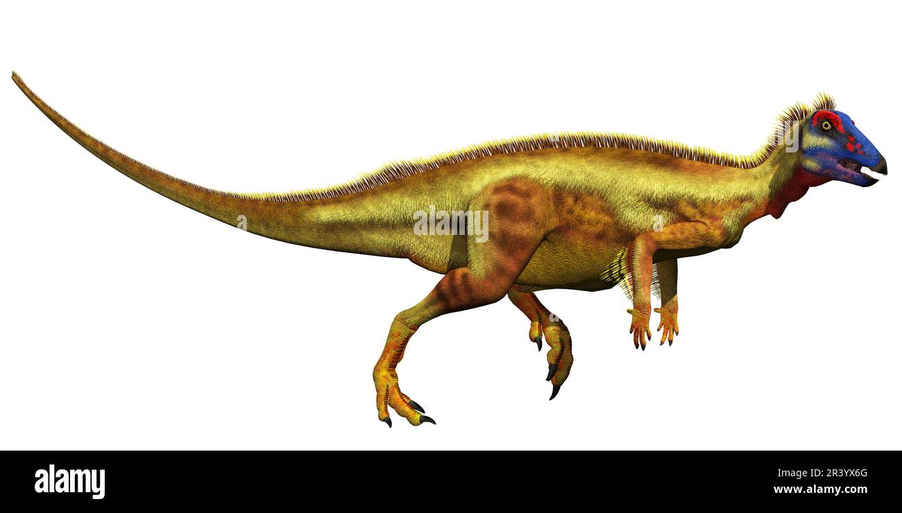 Thescelosaurus dinosauro, vista laterale su sfondo bianco. Foto Stock