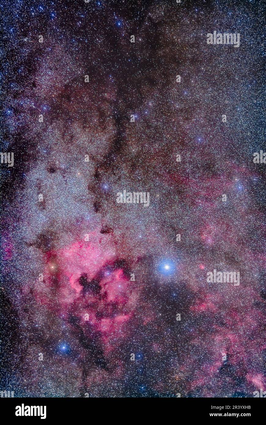 Una regione a contrasto della Via Lattea con il Nord America Nebula e l'imbuto Cloud Nebula. Foto Stock