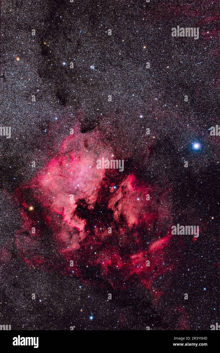 Nord America Nebula vicino alla stella brillante Deneb in Cygnus, con la Nebula Pelican a destra di NGC 7000. Foto Stock
