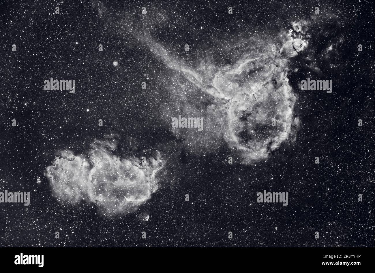 Vista in bianco e nero delle nebulose del cuore e dell'anima in Cassiopeia. Foto Stock