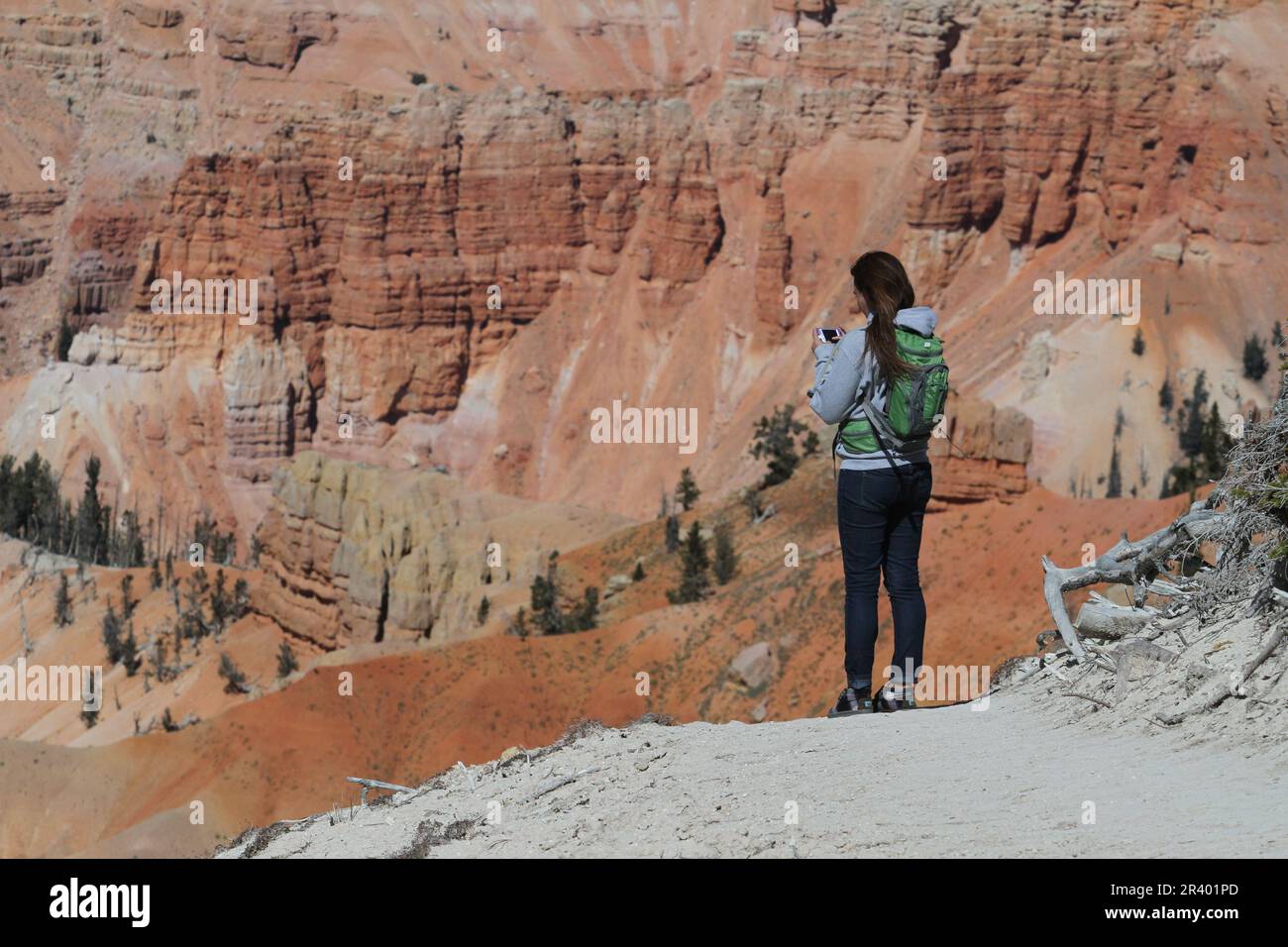 Coronando la Grand Staircase, Cedar Breaks NM si trova a oltre 10.000 metri e si affaccia su una profonda meraviglia geologica di mezzo miglio di un anfiteatro. Foto Stock