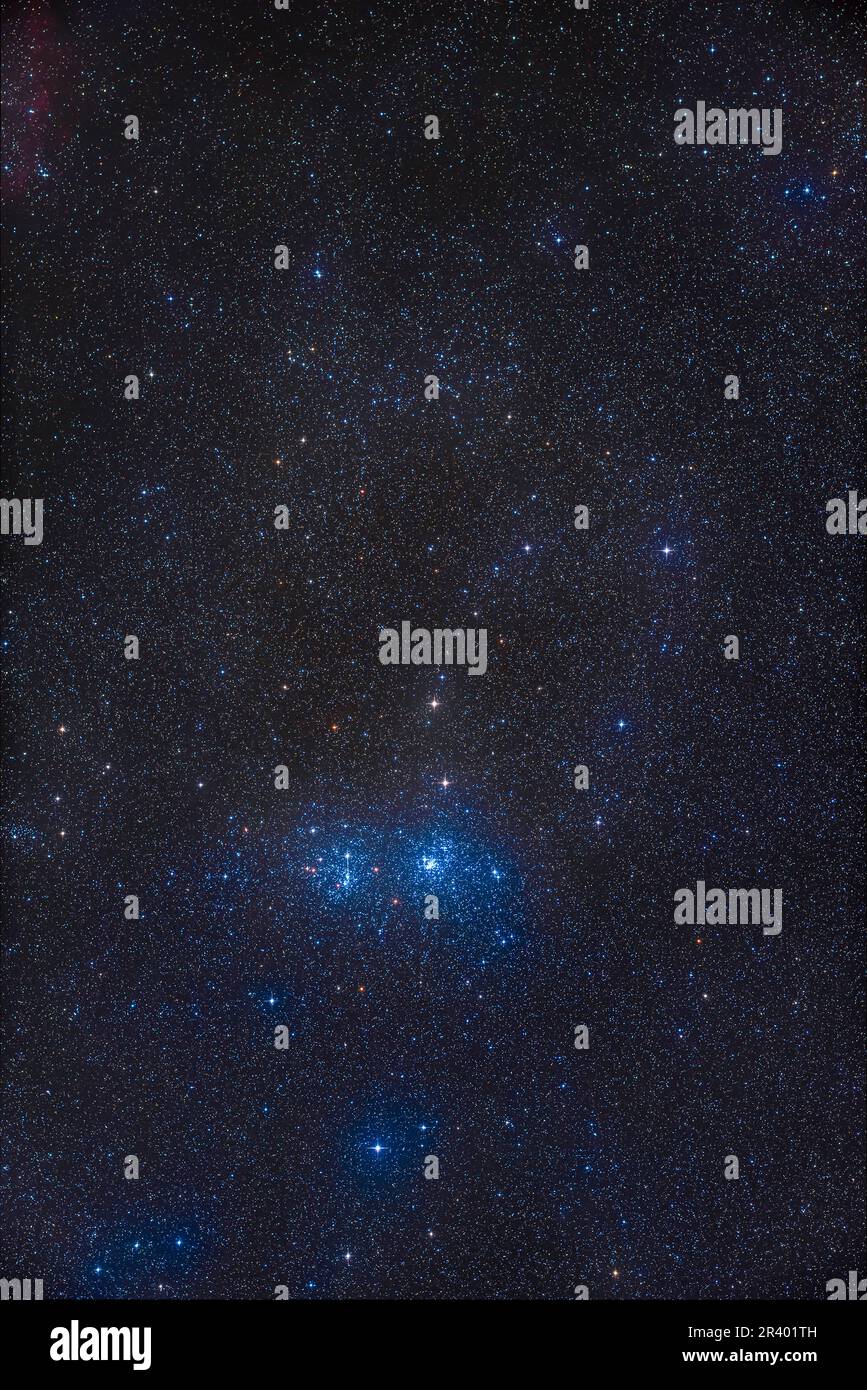 Il doppio cluster e lo stock 2 cluster Muscleman. Foto Stock