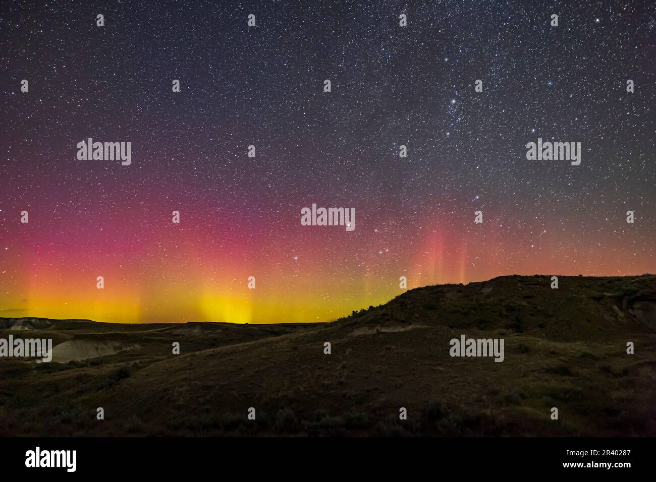 Un'aurora rossa e verde tenue del Dinosaur Provincial Park, Alberta, Canada. Foto Stock