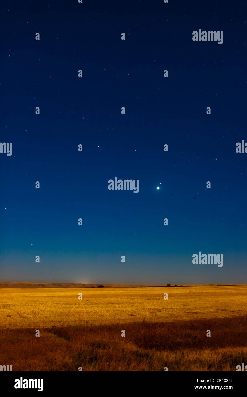 La stretta congiunzione di Bright Venere con la stella Regulus in Leone all'alba, da Alberta, Canada. Foto Stock