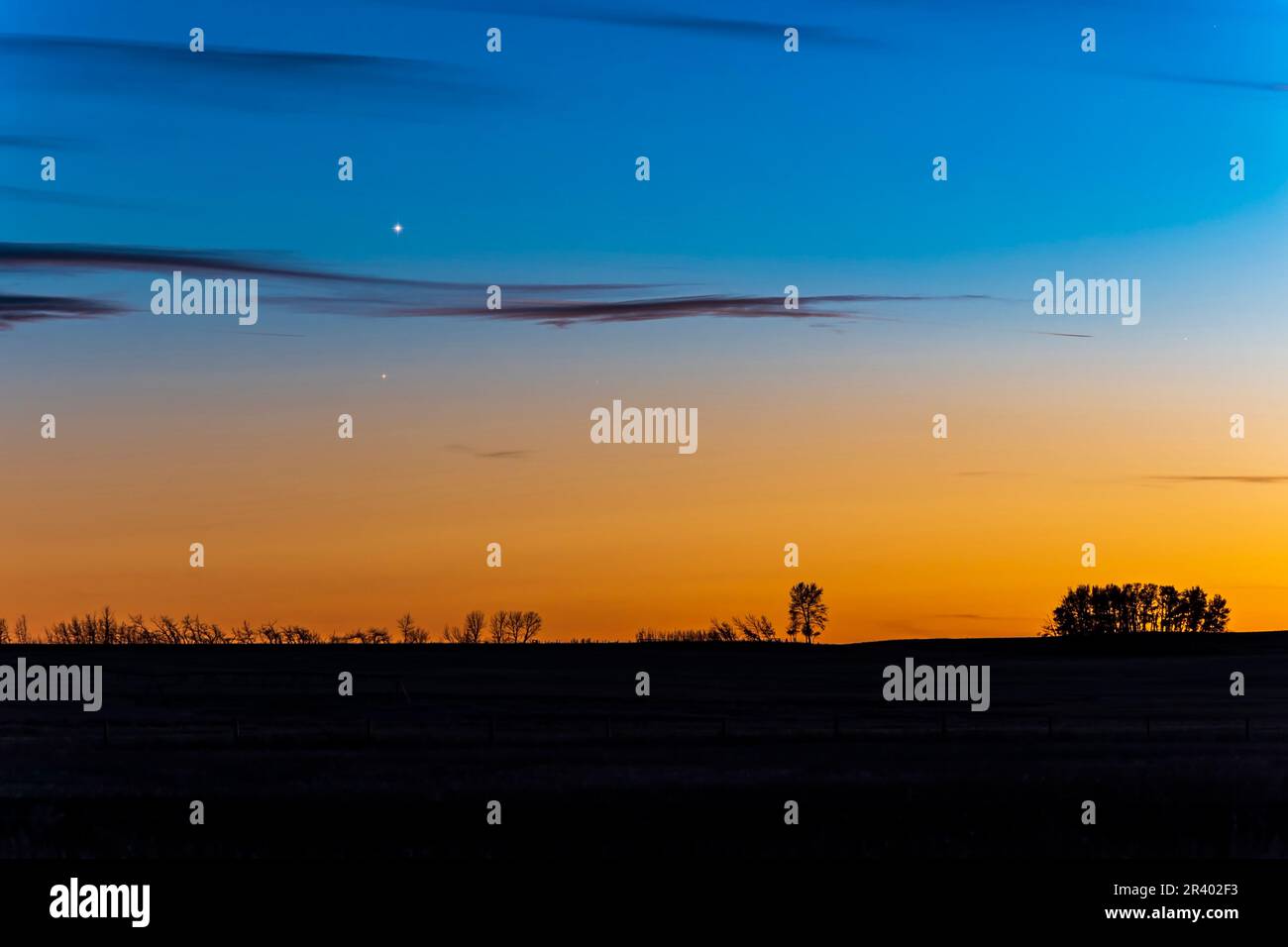 La congiunzione di Venere brillante sopra dimmer redder Antares in Scorpius, Alberta, Canada. Foto Stock