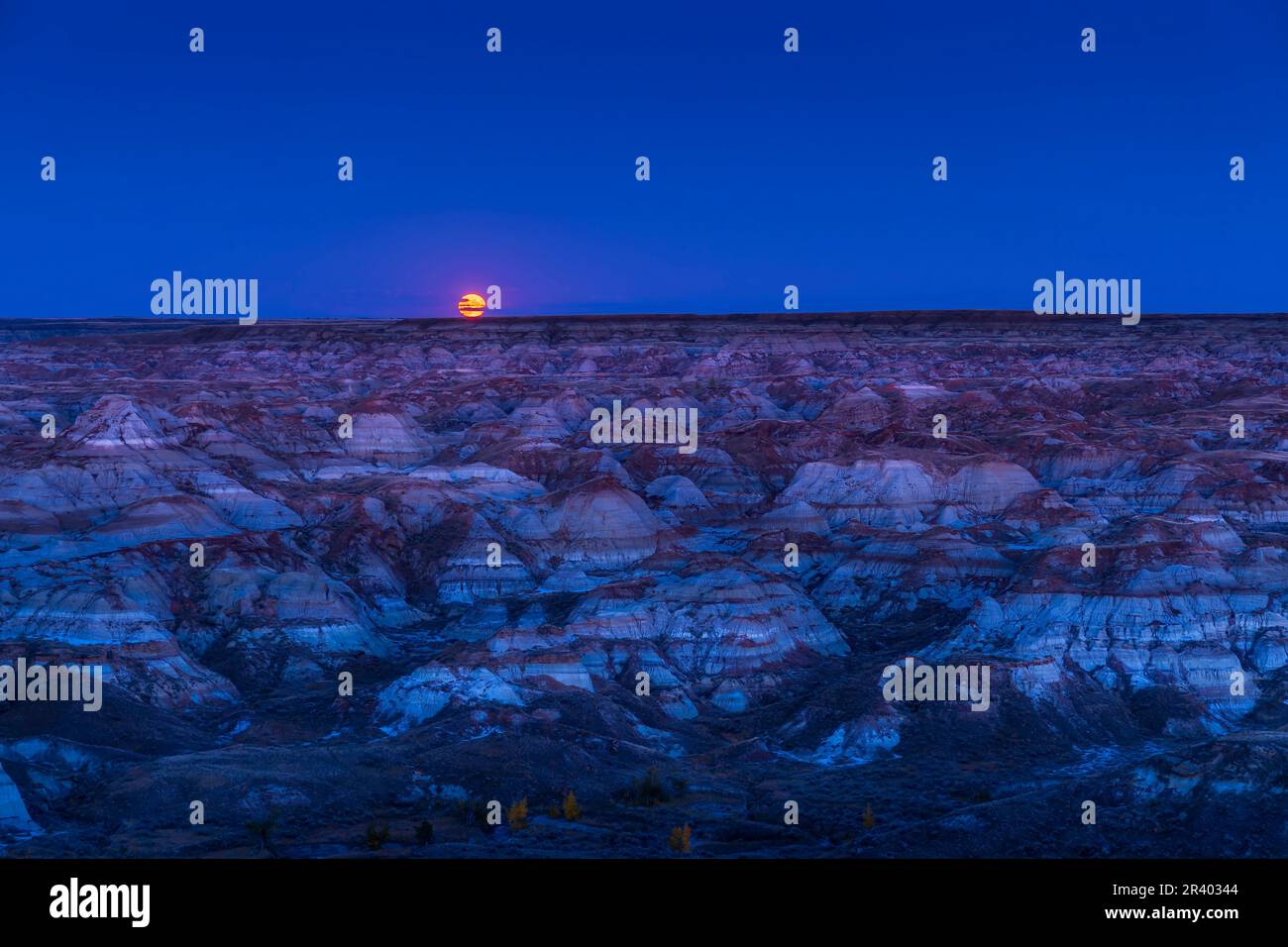 Il Harvest Full Moon che sorge sopra il paesaggio dei badlands del Dinosaur Provincial Park, Alberta, Canada. Foto Stock