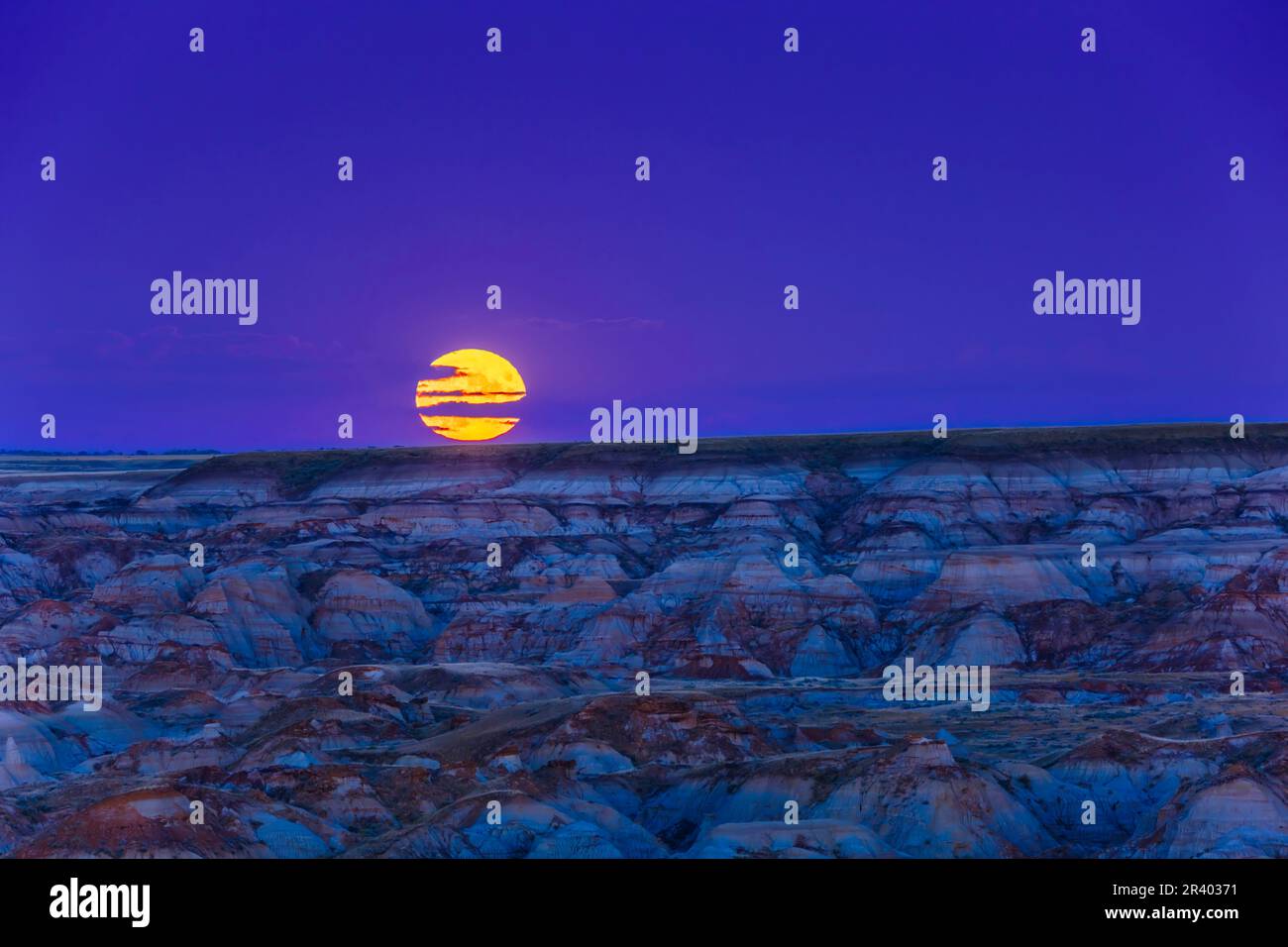 Primo piano dell'intera Harvest Moon che si innalza sui terreni erbosi del Dinosaur Provincial Park, Alberta, Canada. Foto Stock