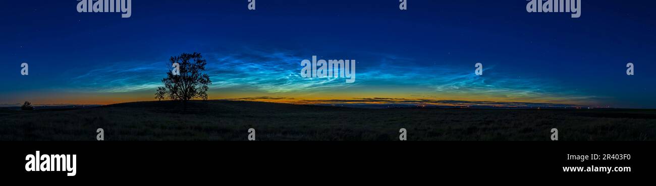 Un panorama a 90 gradi dell'enorme esposizione di nuvole noctillucent al crepuscolo nell'Alberta meridionale, Canada. Foto Stock