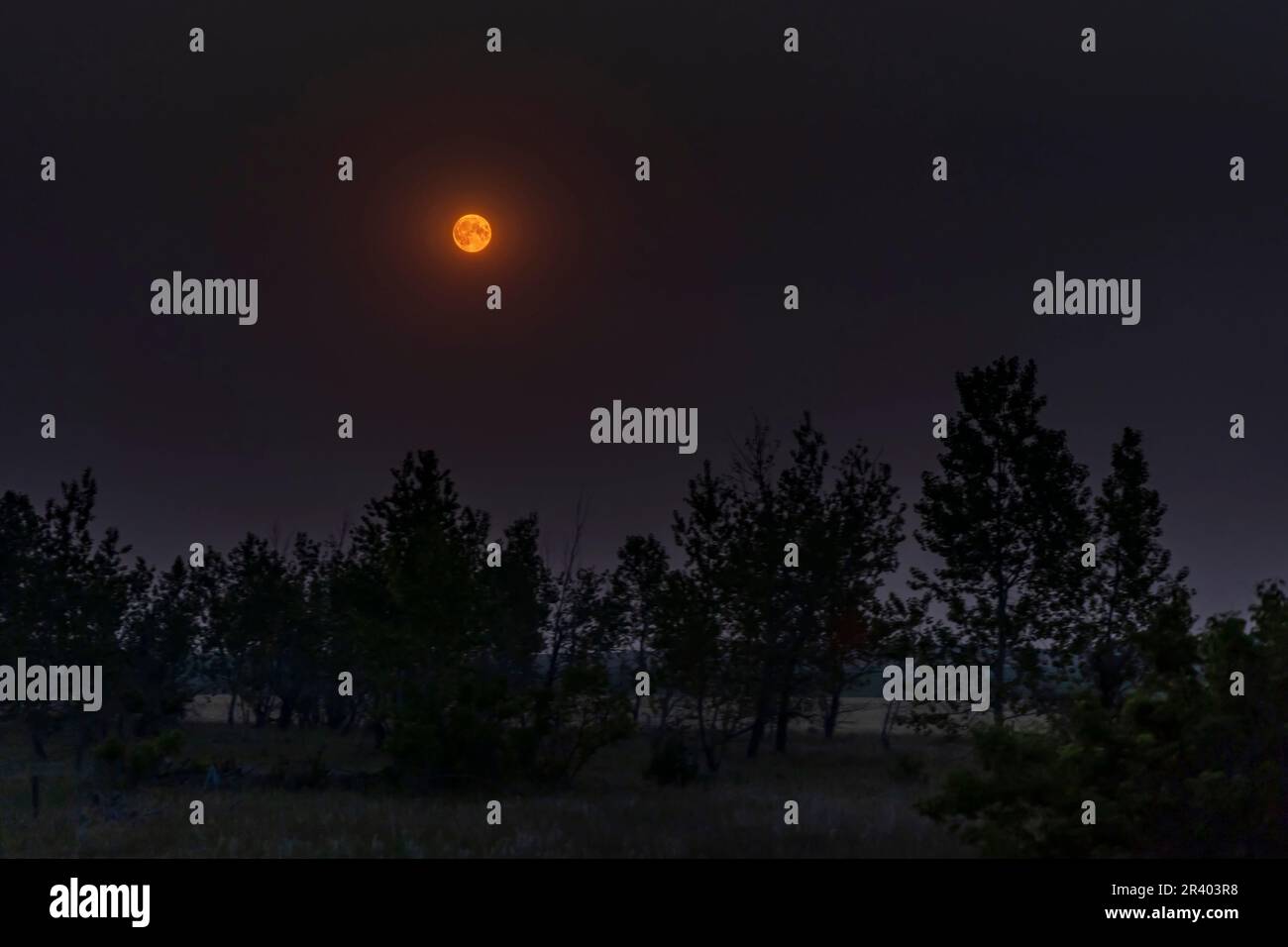 La luna piena del 23 luglio 2021, da Alberta, Canada, tra fumo oscuro dagli incendi boschivi nella Columbia Britannica. Foto Stock