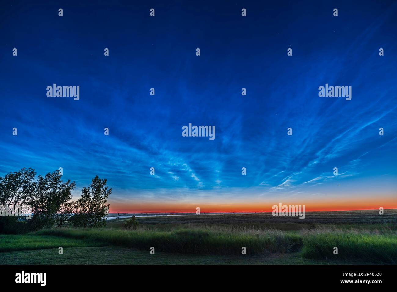 Una grandiosa esposizione di nuvole noctillucent all'alba, Alberta, Canada. Foto Stock