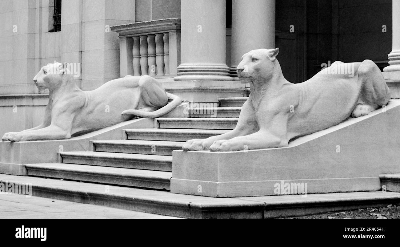 La Morgan Library & Museum con le sculture dei leoni di Edward Clark Potter. Foto Stock