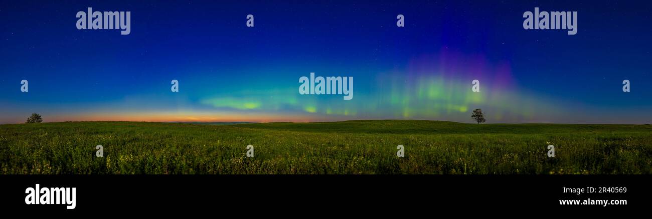 Arco aurorale al chiaro di luna sopra un prato di prateria, Alberta, Canada. Foto Stock