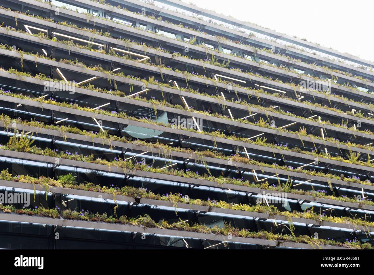 Un muro vivente di piante sul lato della Trinity College Business School a Dublino, Irlanda. Foto Stock