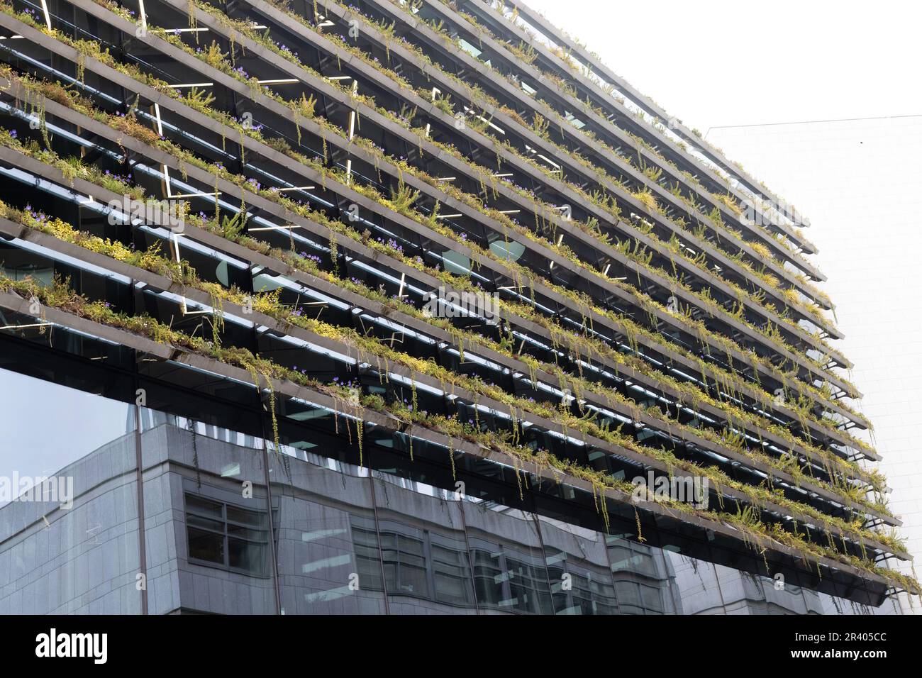 Un muro vivente di piante sul lato della Trinity College Business School a Dublino, Irlanda. Foto Stock