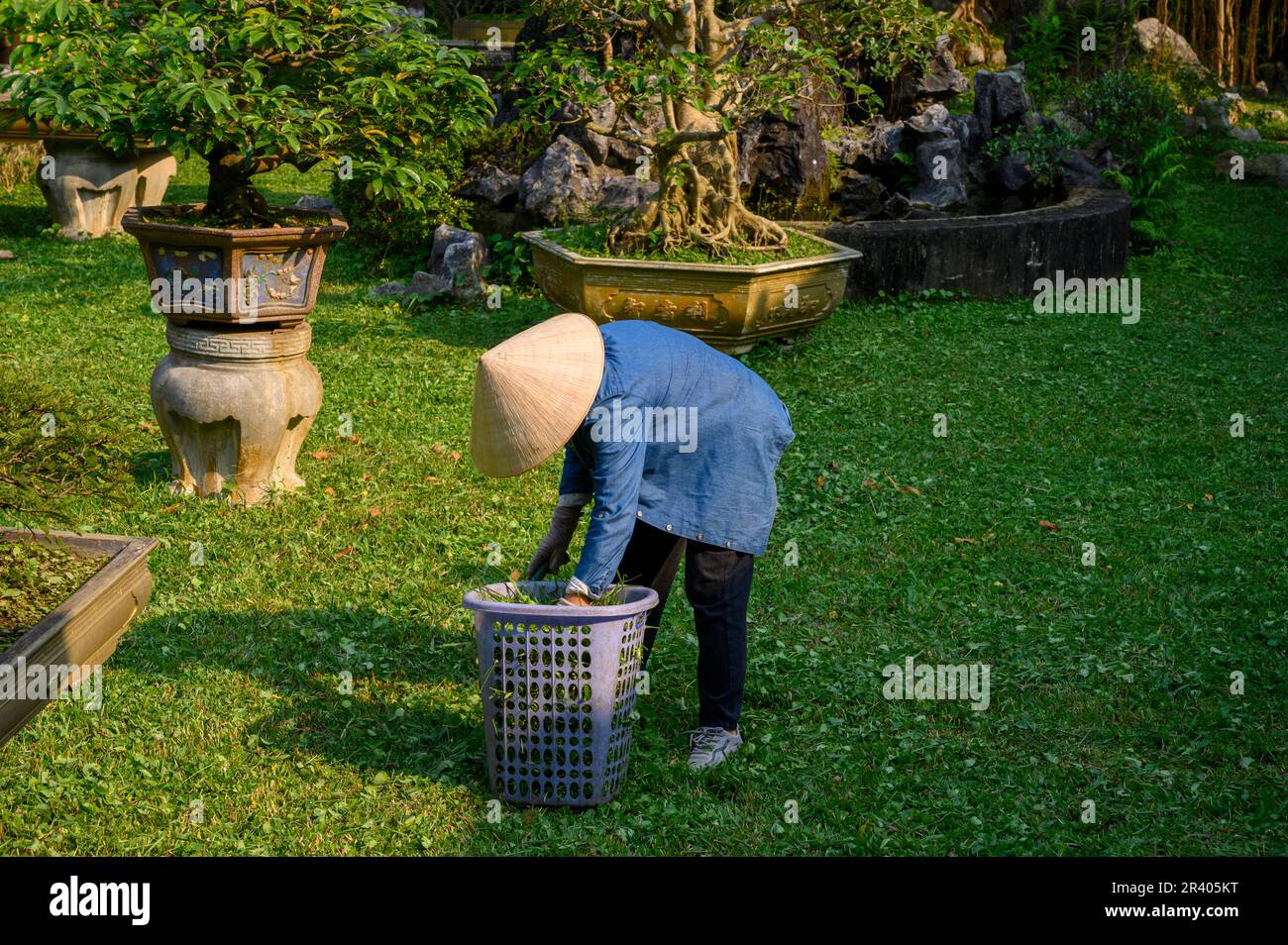 Una donna giardiniera al lavoro nella città imperiale, Cittadella di Hue, l'antica capitale del Vietnam. Foto Stock