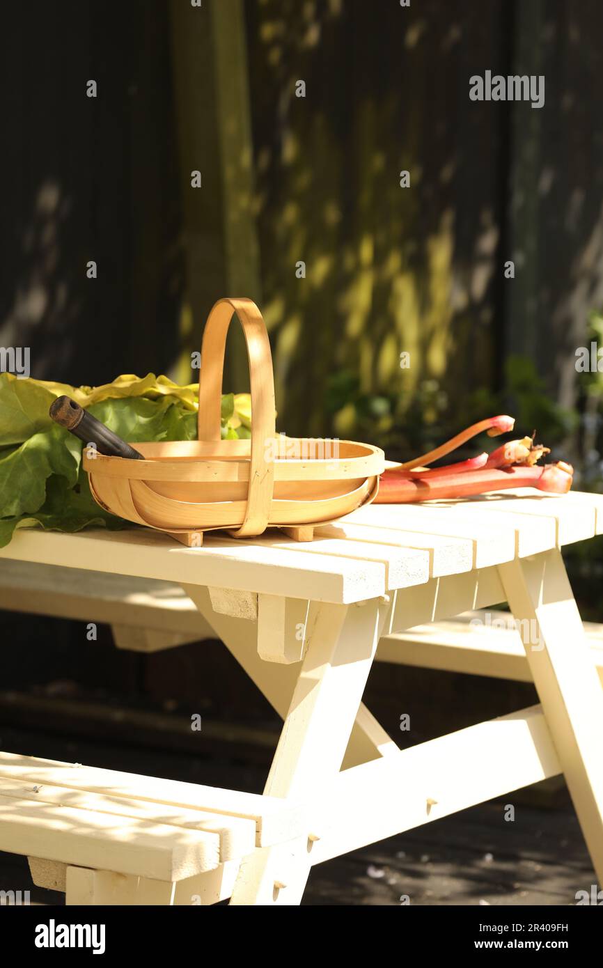 Il rabarbaro tagliato di recente in un trug da giardino Foto Stock