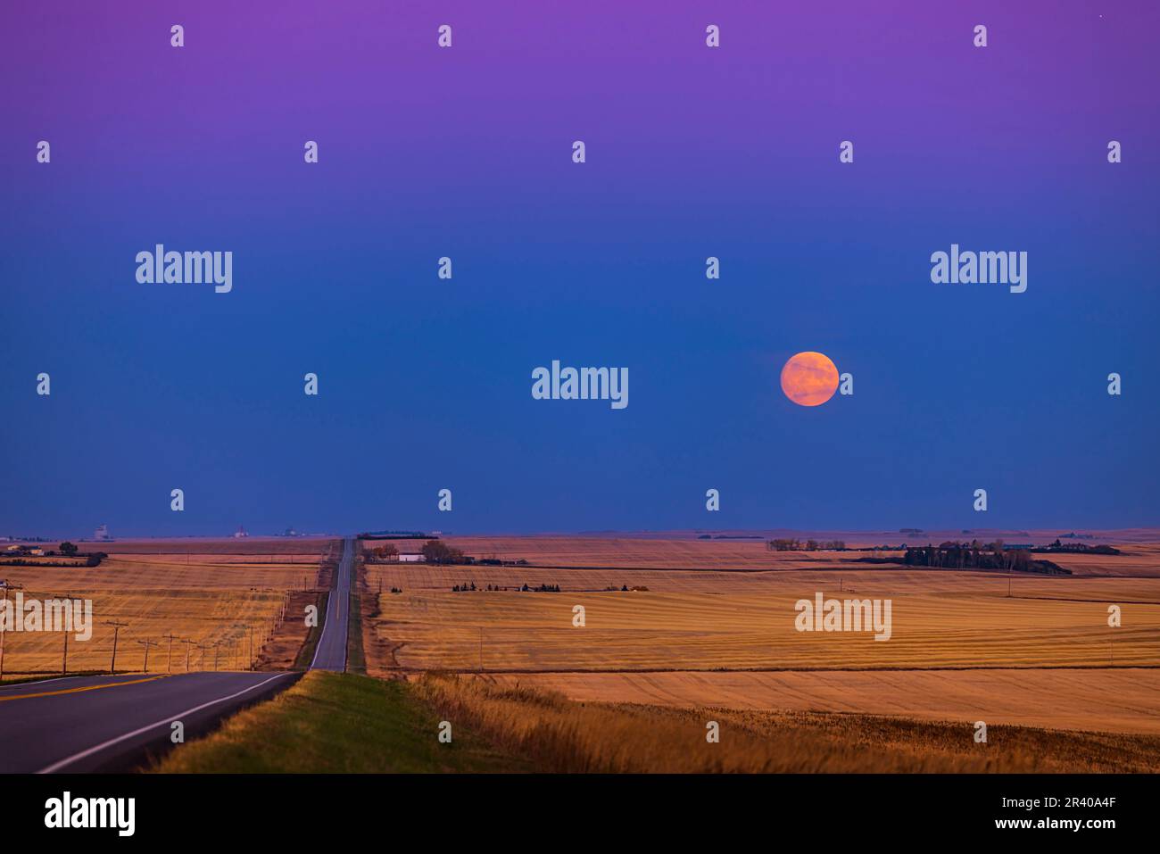 L'ascesa della luna quasi piena, la Luna del Cacciatore, nell'Alberta meridionale, Canada. Foto Stock