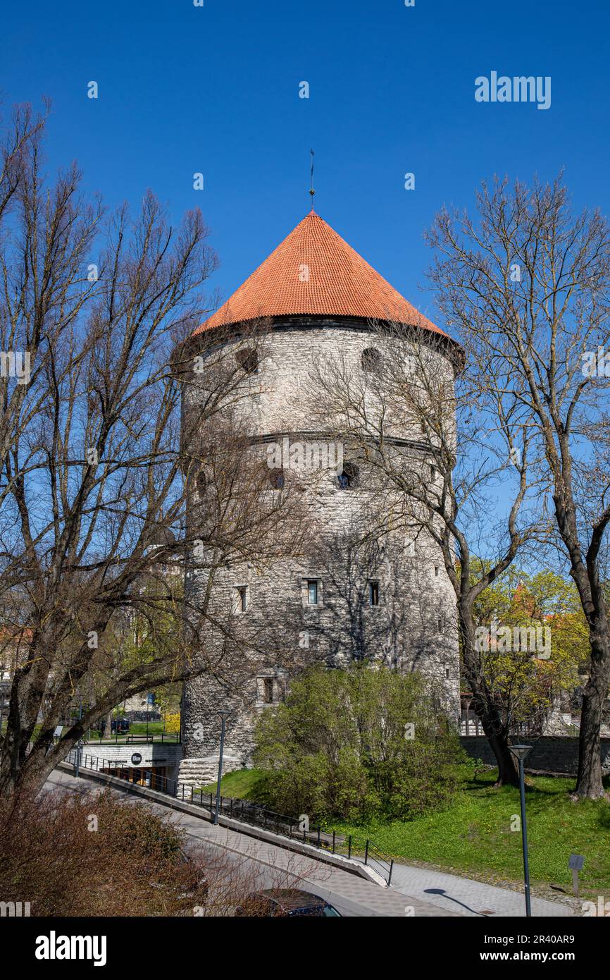 Kiek in de Kök, un'antica torre di artiglieria costruita nel 1475, contro il cielo azzurro in un giorno di sole primaverile a Vanalinn, la città vecchia di Tallinn, Estonia Foto Stock