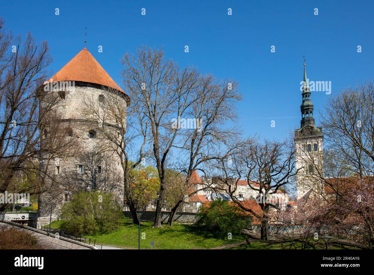 Kiek in de Kök torre di artiglieria e Niguliste Kirk torre campanaria contro il cielo azzurro chiaro nel giorno di primavera soleggiato a Vanalinn, la città vecchia di Tallinn, Estonia Foto Stock
