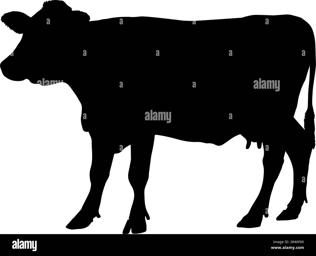 Silhouette di mucca isolata su sfondo bianco. illustrazione vettoriale Illustrazione Vettoriale