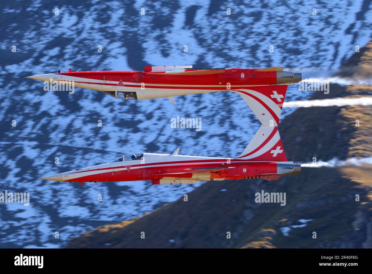 F-5E i jet fighter Tiger II della squadra aeronautica Patrouille Suisse dell'Aeronautica militare svizzera. Foto Stock