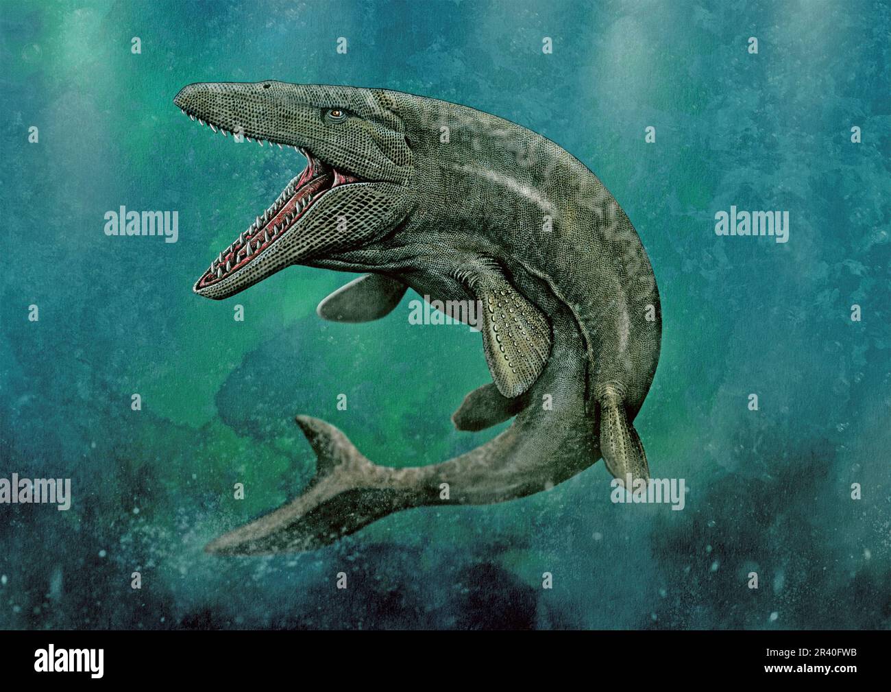 Mosasaurus nuoto. Foto Stock