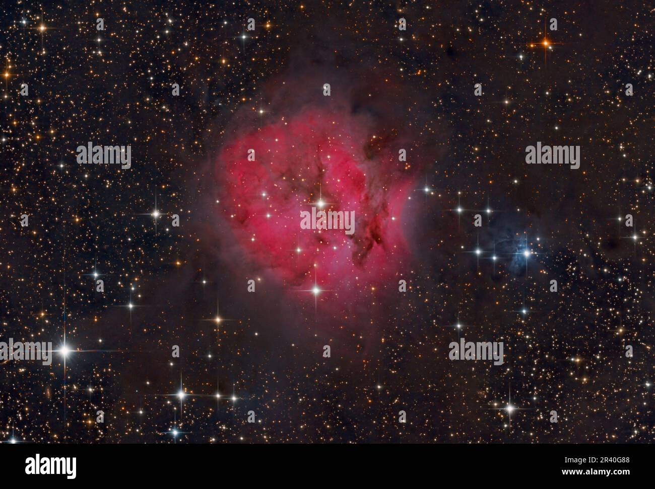 Cocoon Nebula Foto Stock