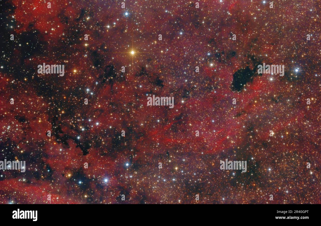 Nube di polvere di Cignus, con nebulose scure Barnard 343 e Barnard 344. Foto Stock