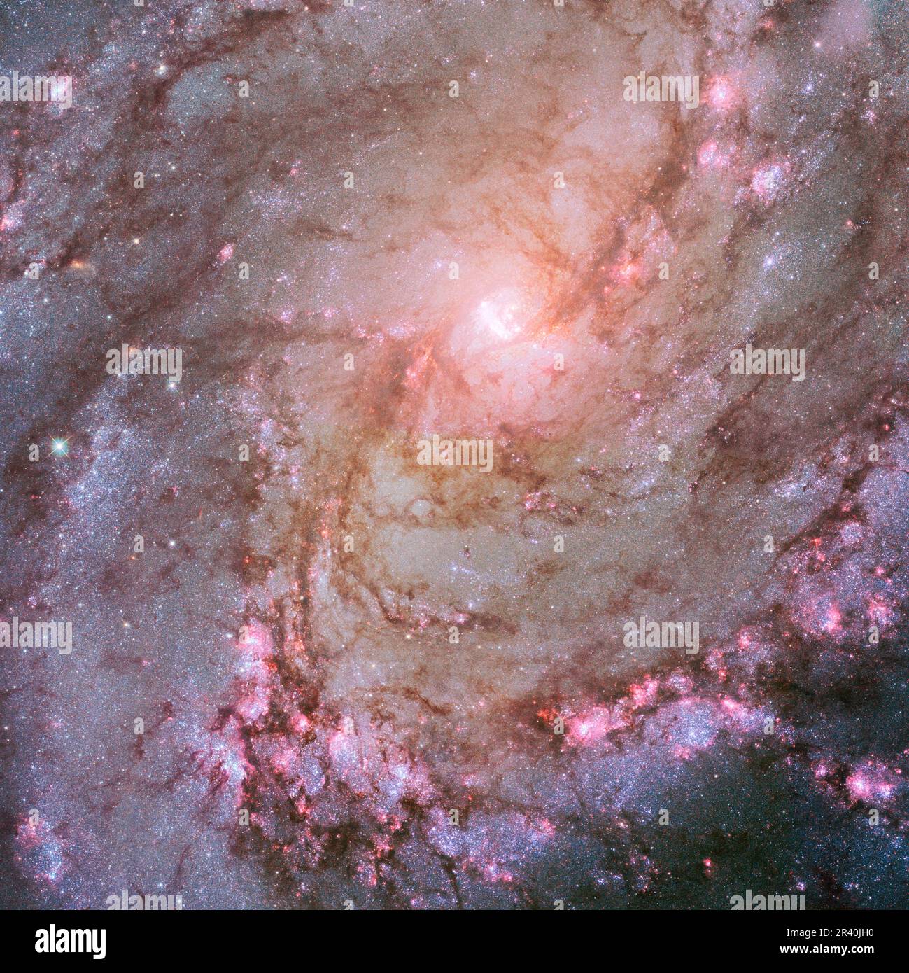 Tutta la bellezza della vicina galassia a spirale M83, in fiamme con formazione di stelle. Foto Stock