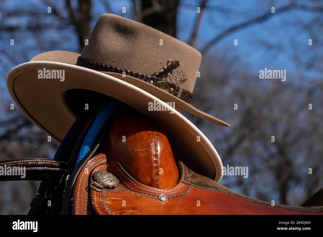 Primo piano Vista dell'attrezzatura da equitazione e attrezzatura da equitazione in Una fattoria locale Foto Stock