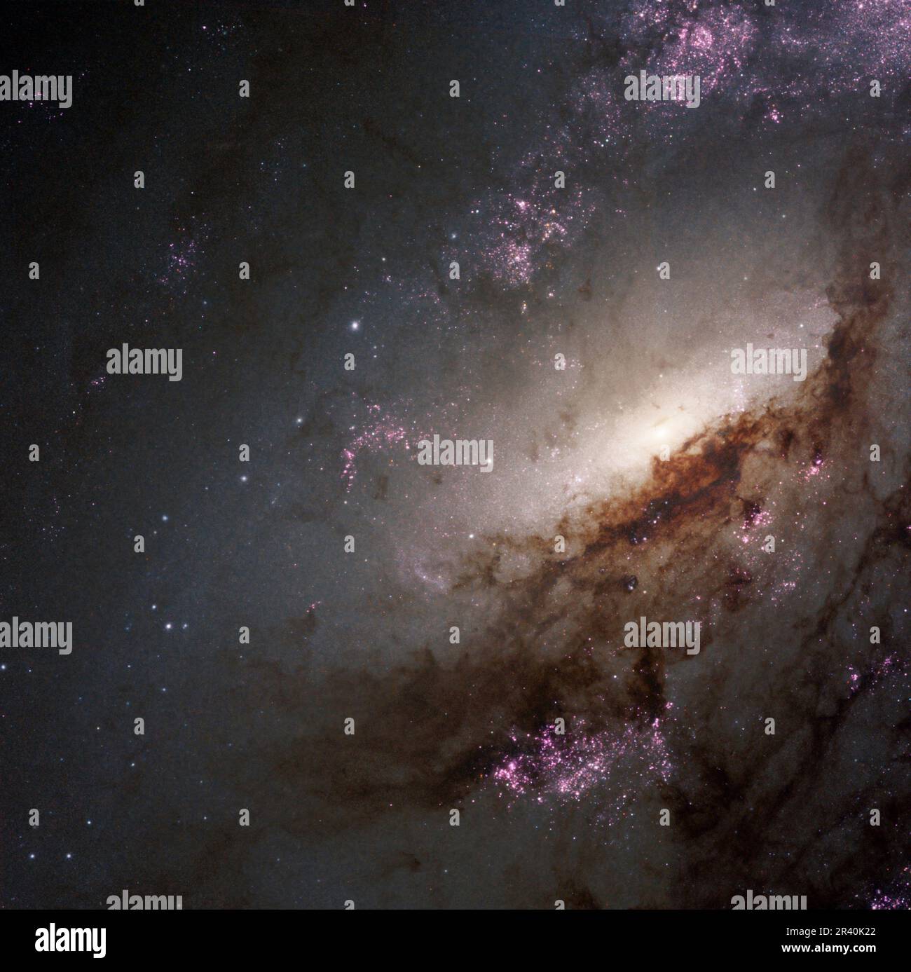 NGC 4258 è una grande galassia a spirale che subisce un'intensa formazione stellare. Foto Stock