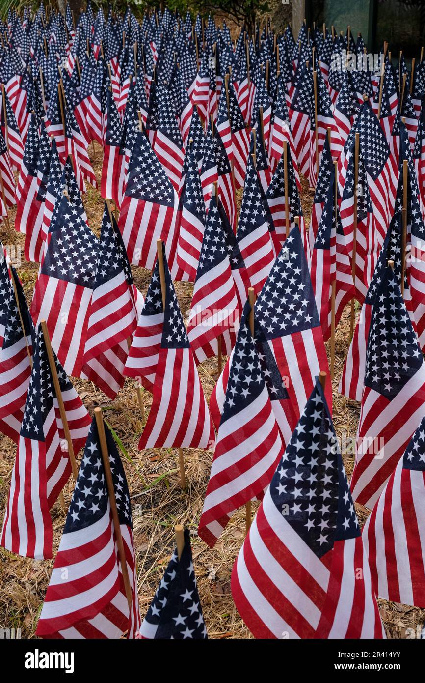 File di piccole bandiere americane nel terreno in celebrazione del patriottismo americano durante le feste federali negli Stati Uniti. Foto Stock