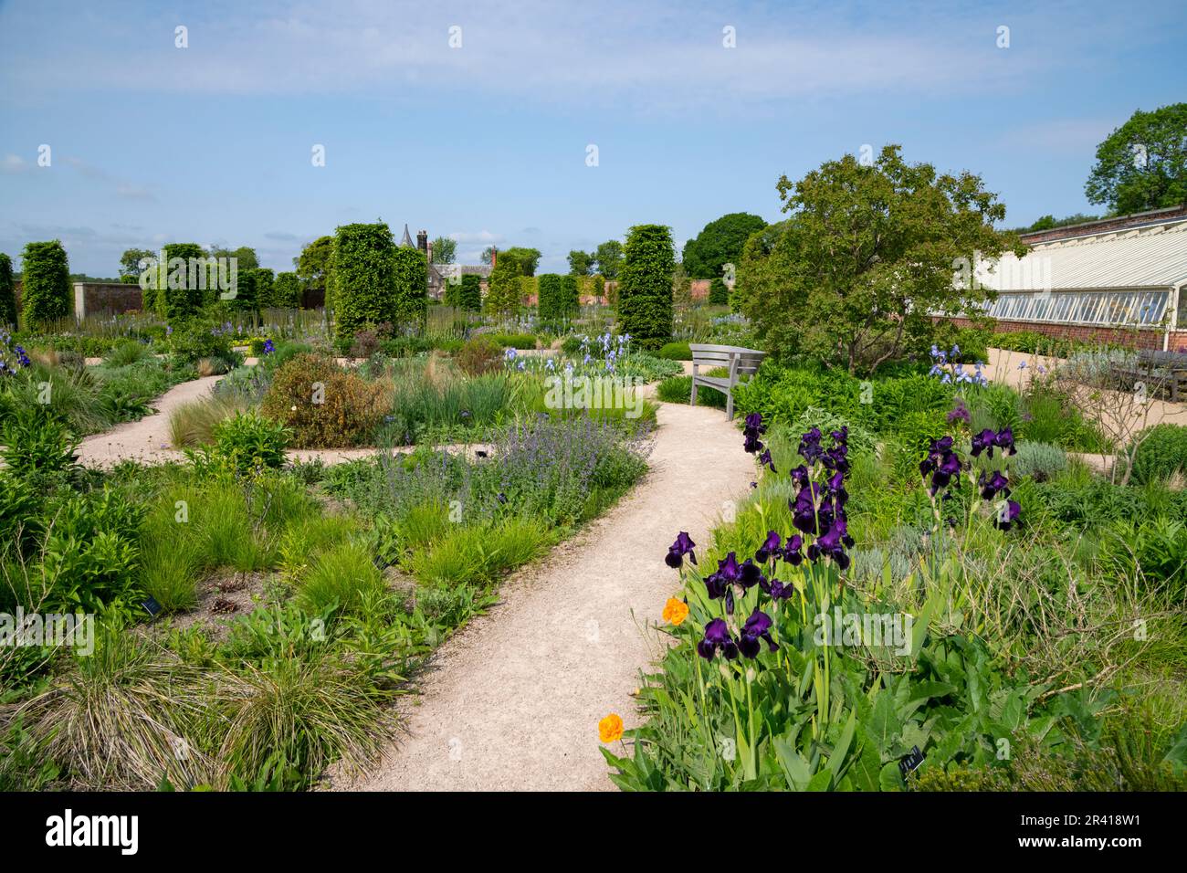 Inizio estate nel Paradise Garden a RHS Bridgewater, Greater Manchester, Inghilterra Foto Stock