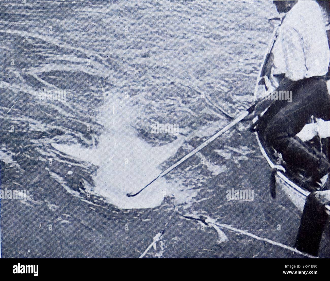 La spedizione sottomarina di Williamson del 1914 è stata la prima a rivelare alcuni dei tesori sotto la superficie dell'oceano. Grazie in gran parte a tecniche fotografiche innovative la biologia marina intorno alle Bahamas è entrata in vita. Questa foto mostra: Un momento ansioso. Uno squalo che nuota appena sotto la superficie, vicino ad una piccola barca. Foto Stock
