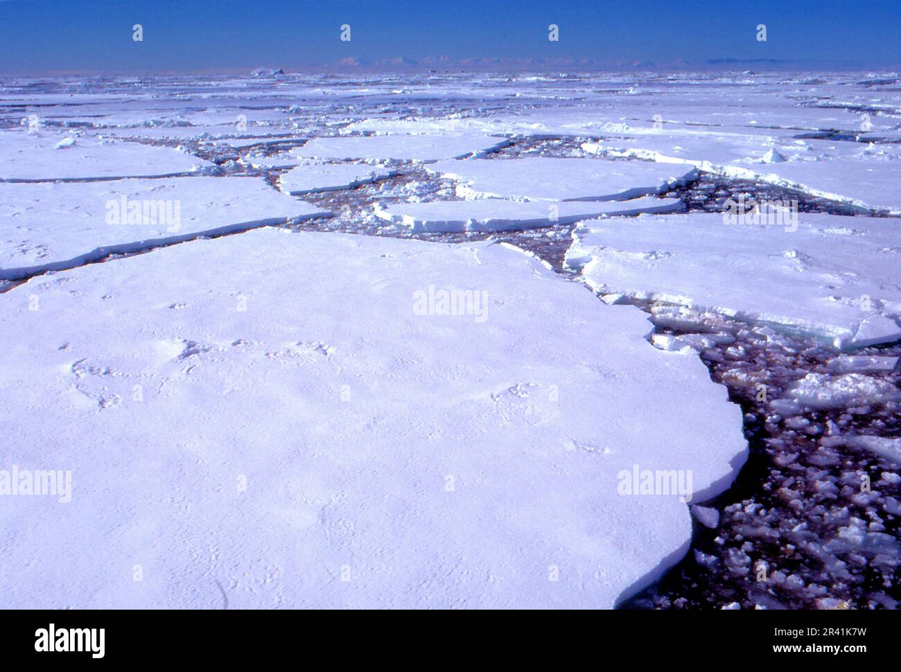 Grahamland Antartide 1972 close pack ghiaccio con canali contro il cielo blu scuro Foto Stock