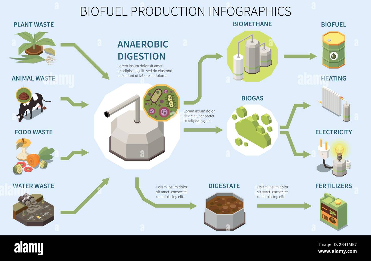 Poster sulla produzione di biocarburanti con tipi di rifiuti organici digestione anaerobica uso di biogas 3D illustrazione del vettore isometrico Illustrazione Vettoriale