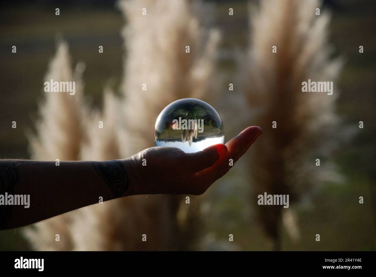 Mano che regge una sfera di cristallo che riflette il paesaggio circostante Foto Stock