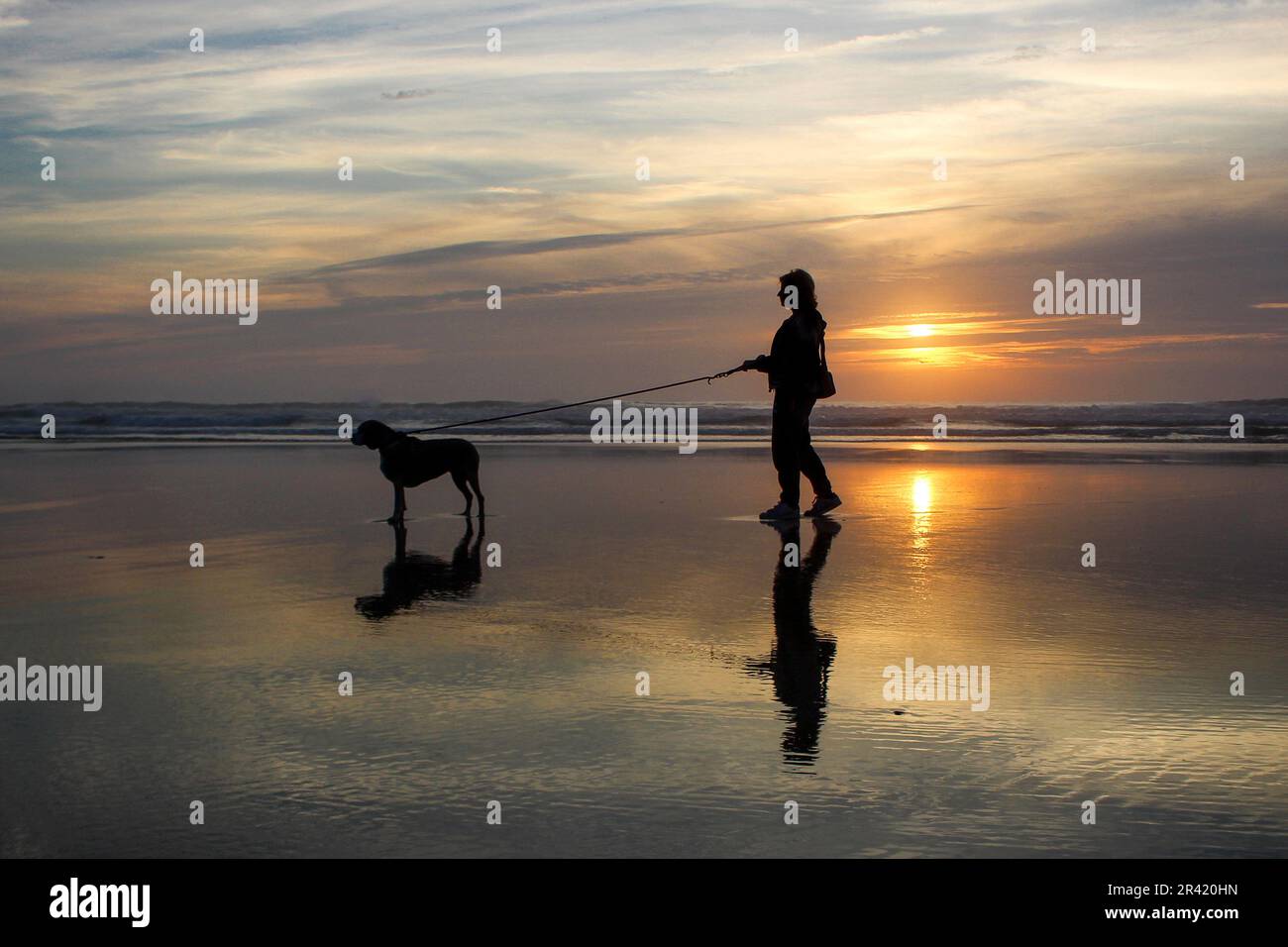 Silhouette di Woman Walking Dog al Sunset on the Beach Foto Stock